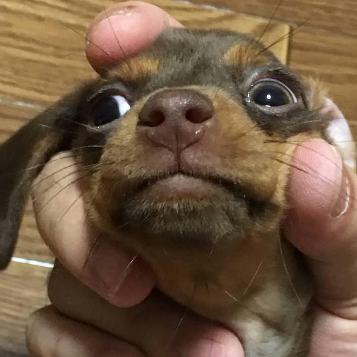 F930dbcf 73f2 4351 a673 e1594caf98c7