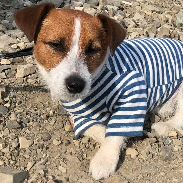 F931277c 1803 47c8 b47b ca74d2f7a003