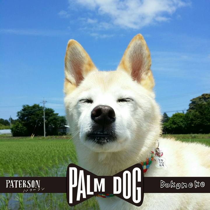 F93135f8 7042 4e02 9165 5a7004f356d6