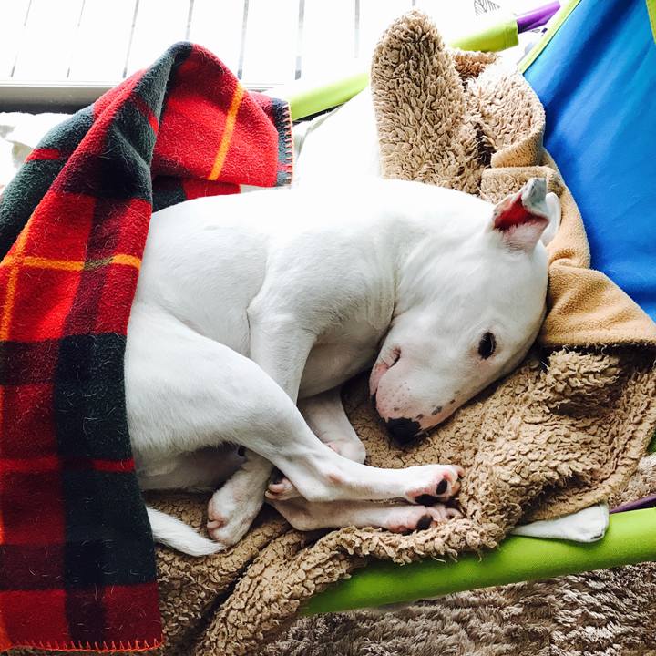 F9314c2a fb1d 487d 89cb 40e5913322fd