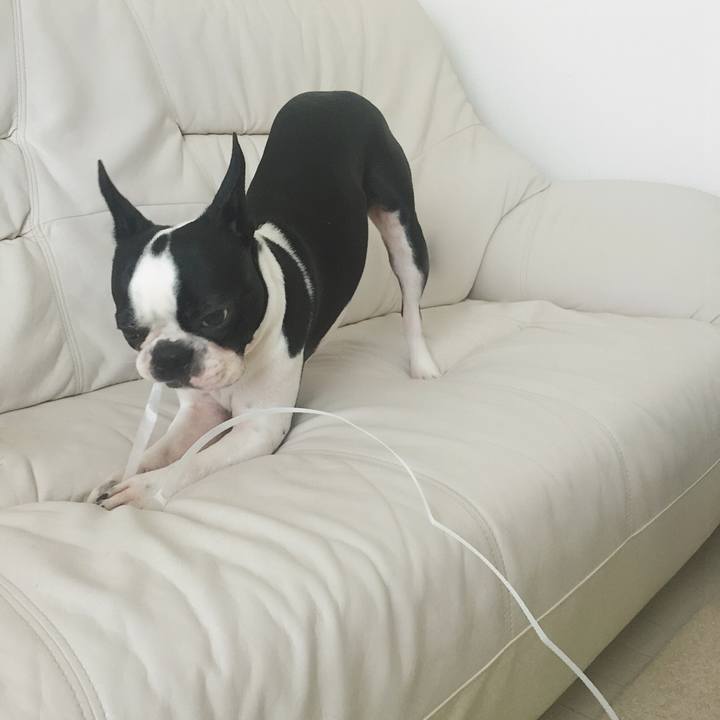 F9316403 a19e 4d84 82bf aab6fbb7b360