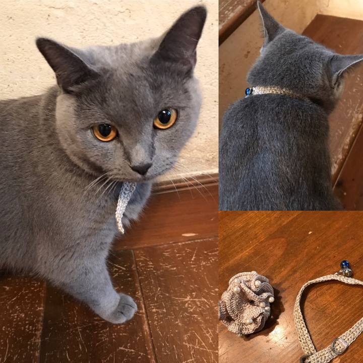 F9329bd2 af2e 464b 8bfa b42003ba3279