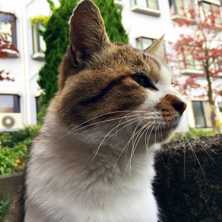 F932a39f be05 49e3 bdd9 f15cbe7aeaf8