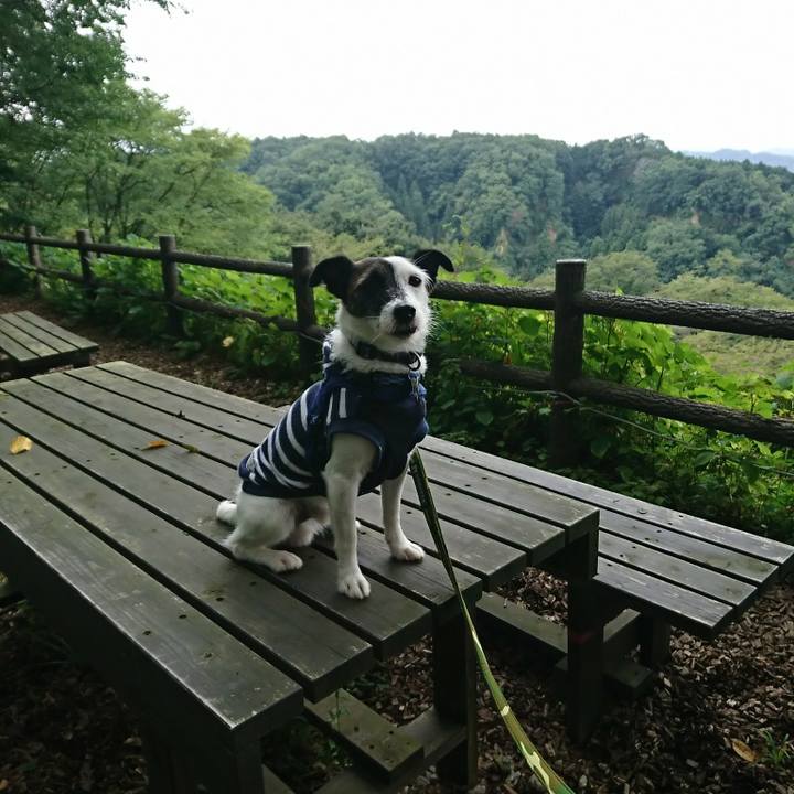 F932bfbe 9f3d 40ee 82bd 44ef1424f98d