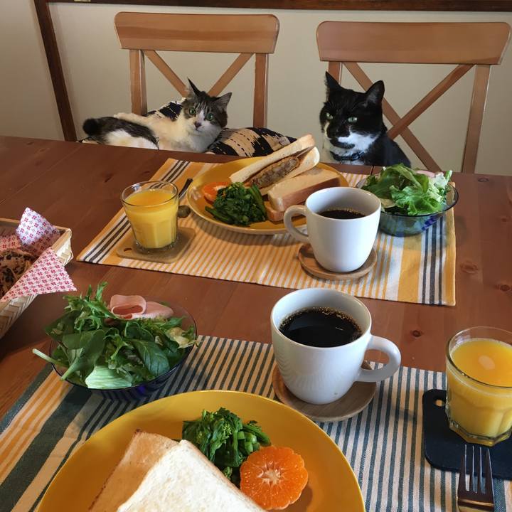 F9330b66 36db 49c4 810c c9057d00d852