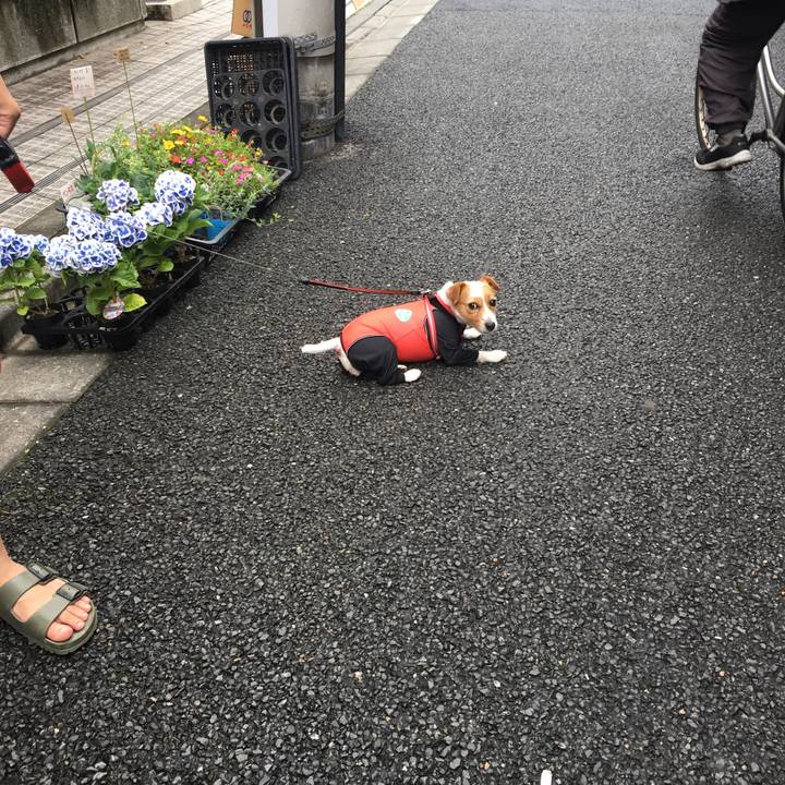 F933871f 1578 4abe a153 19103fc35188