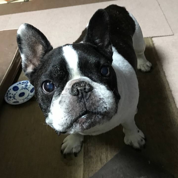 F933b69c 3792 45e3 8b29 2023b74adc59