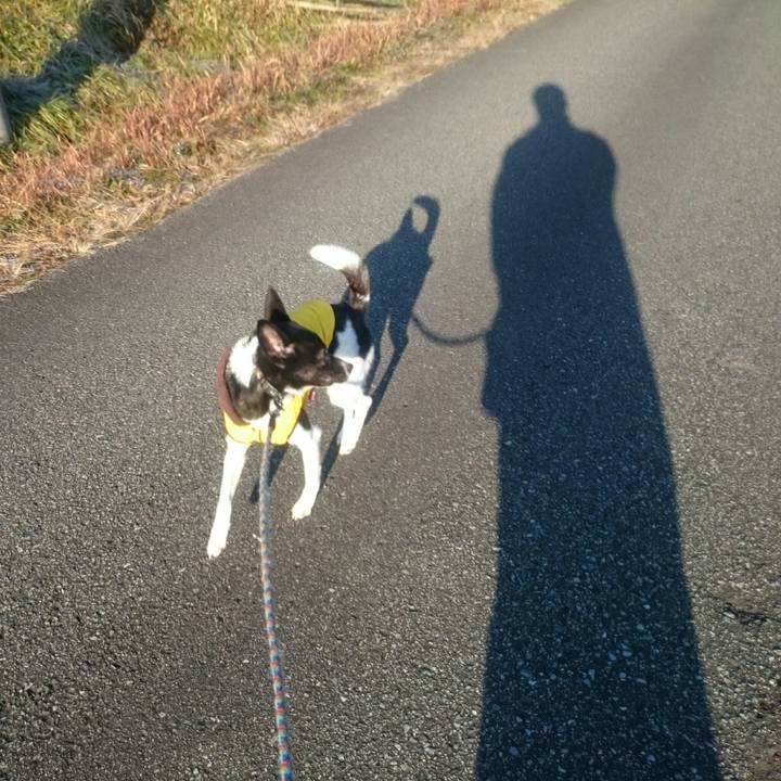 F93435bb 69cb 411c afd8 58469a85e6c2