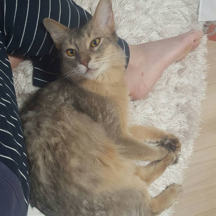 F93526e8 616e 4f42 a2cd 747ab7e2ef01