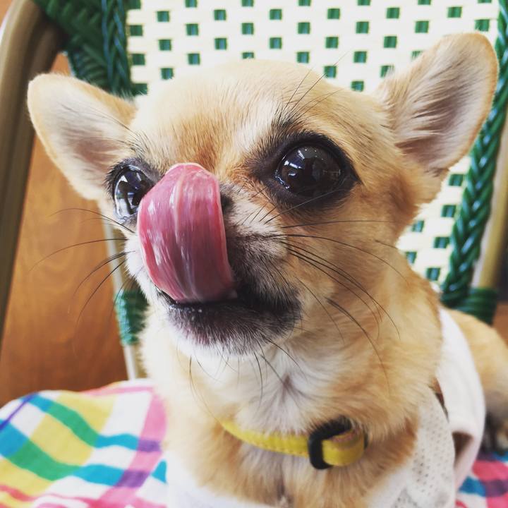 F9358efb 95e9 48d5 892e 3a792531adc8