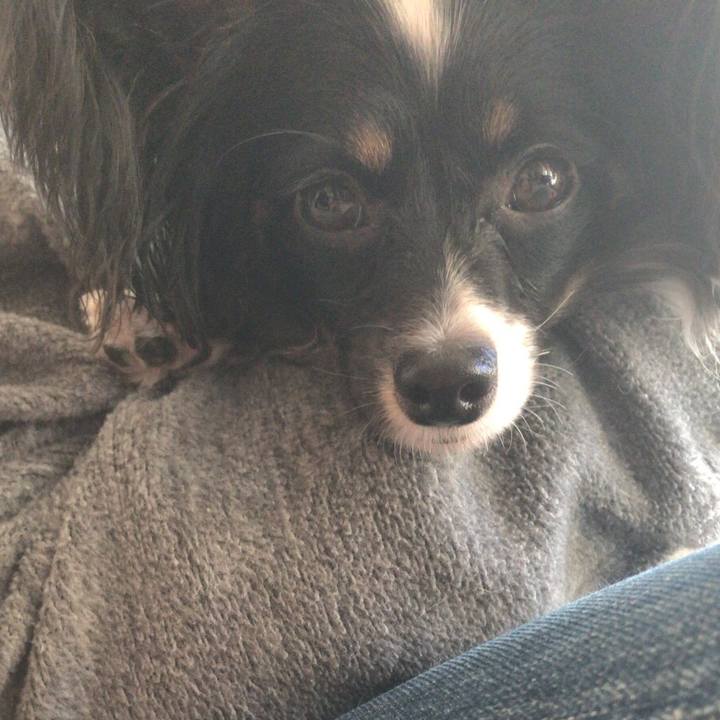 F9359392 9fab 4aee 88ee b6397f1eaaeb