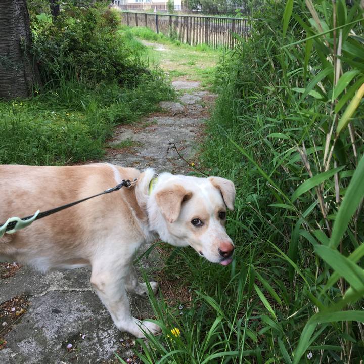 F9360d8c 6da0 4b56 a994 640dce86ed94