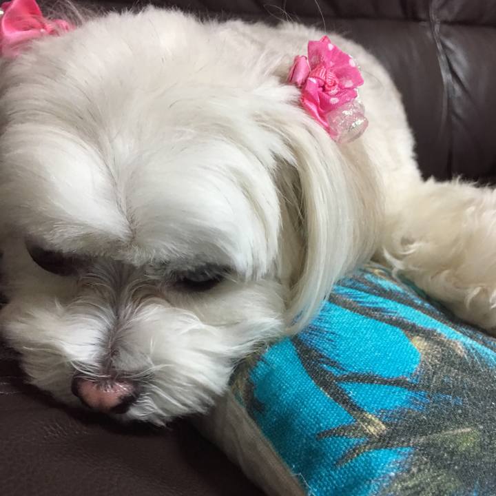 F9368930 0823 42d3 a947 133f2007e71a