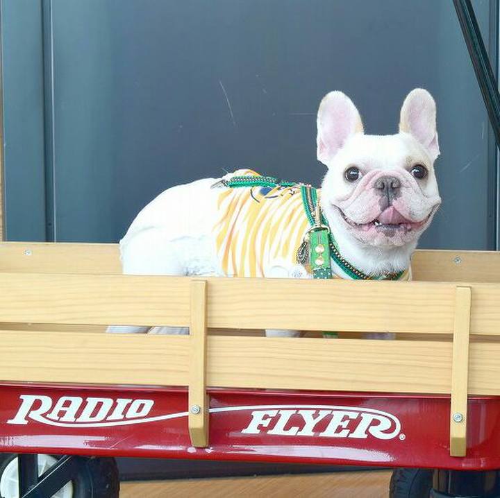 F936e2bd 2912 4054 b667 f973882f0733