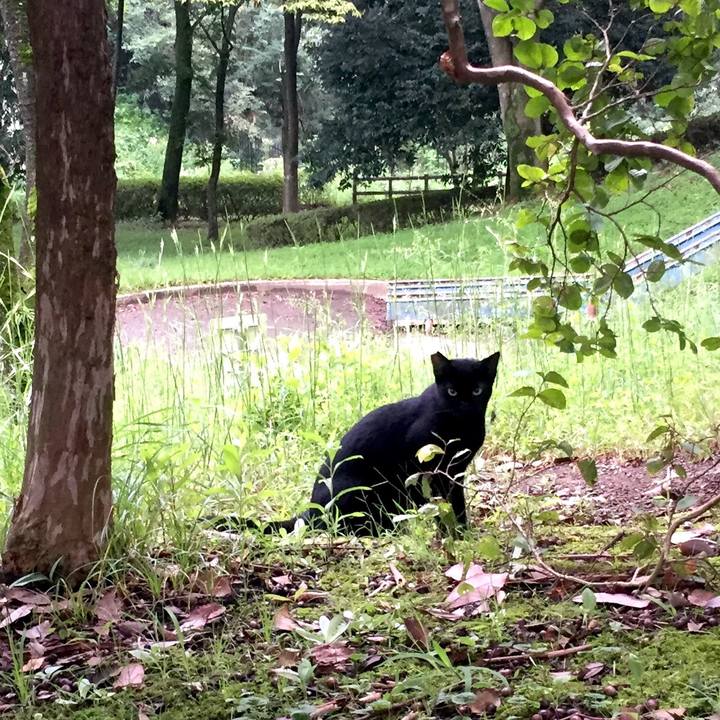 F9375298 cdb0 47c7 96f4 4b27f65ff6bd