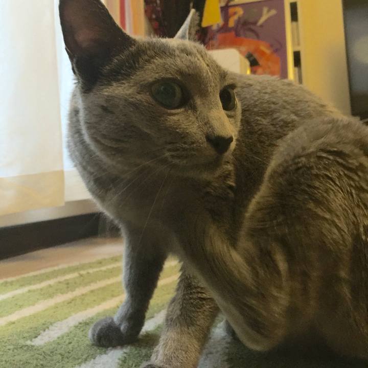 F9382d57 1b77 4360 bd3c 4cd5e24cd33f