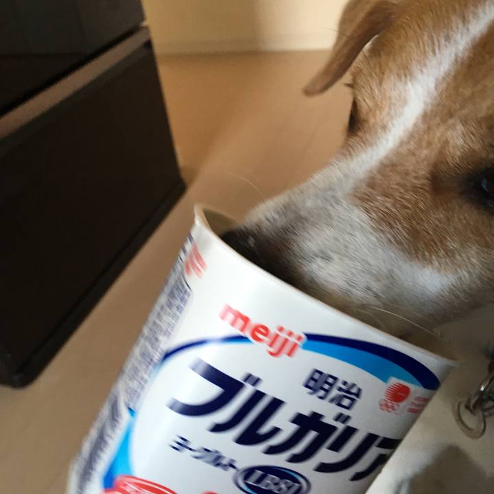 F9385bef 50eb 49e1 b70d 43bc069fffae