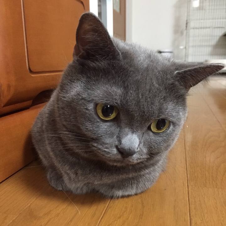 F9388a84 a82b 405c a175 ab18df320568