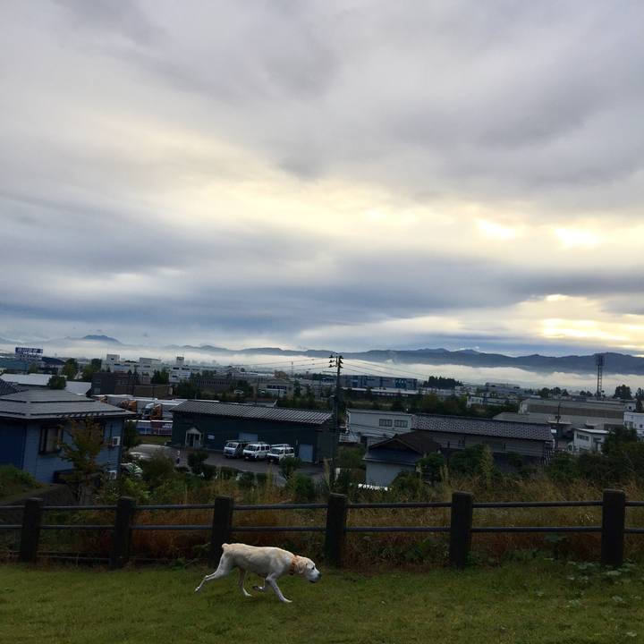 F938efd7 0b37 4fec 94c4 8769e664d5de