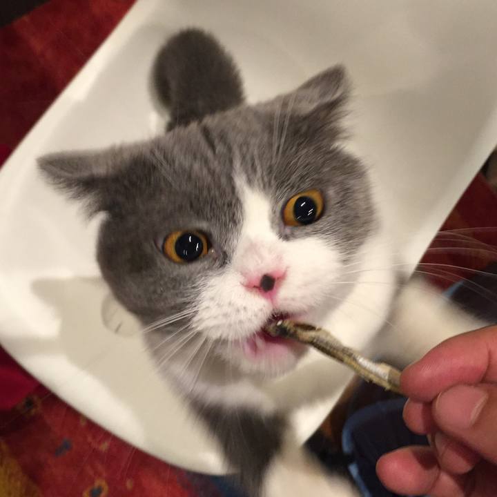 F938fd5a 850b 4a5b 8231 6cb131d85144