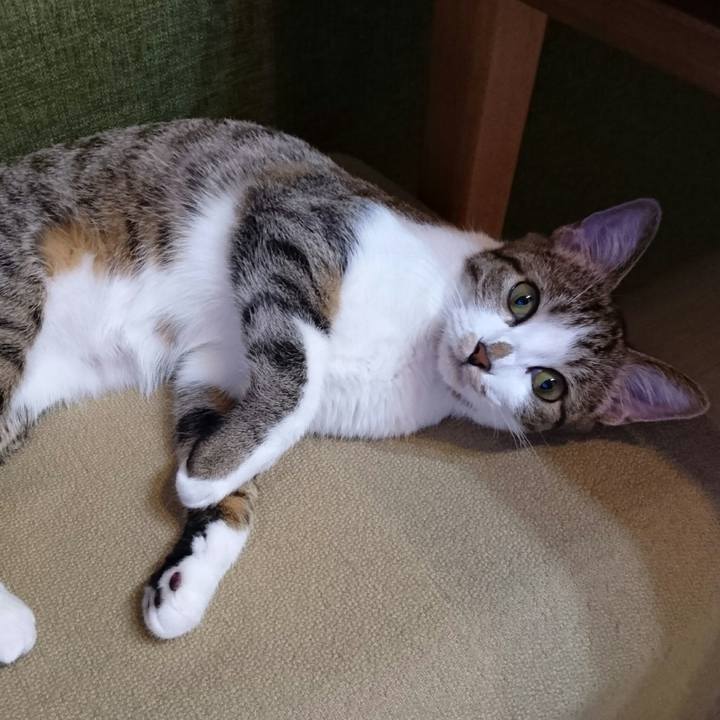 F93950d1 03f1 44ee bed7 53d5a417f296