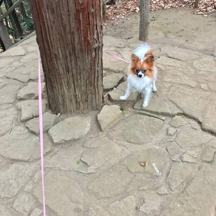 F93978e0 13bd 4738 ade7 fadea95aea55