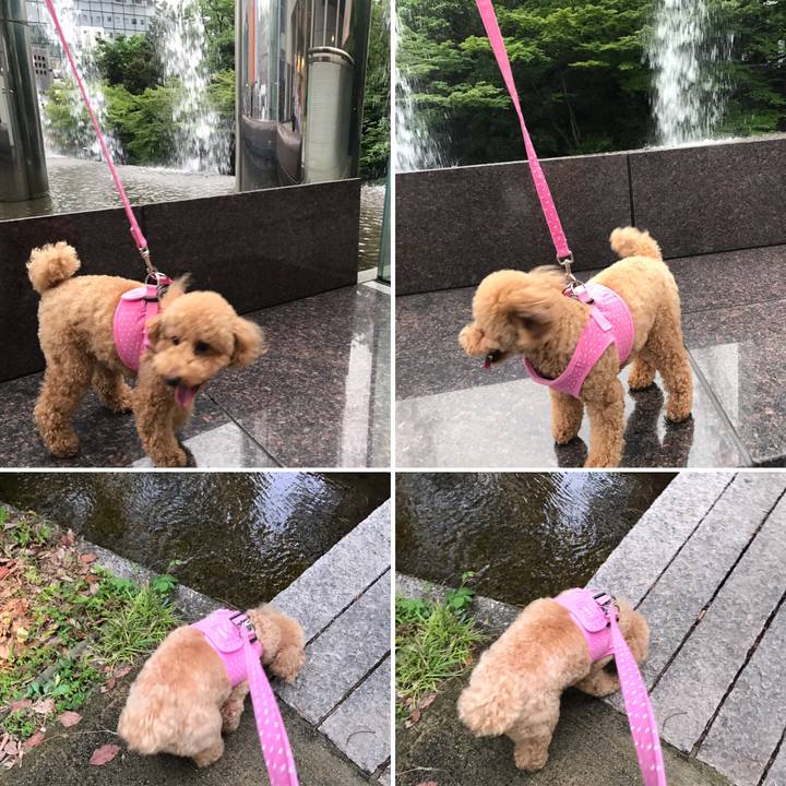 F939cf73 2af1 4be1 8408 9f1f0a513d36