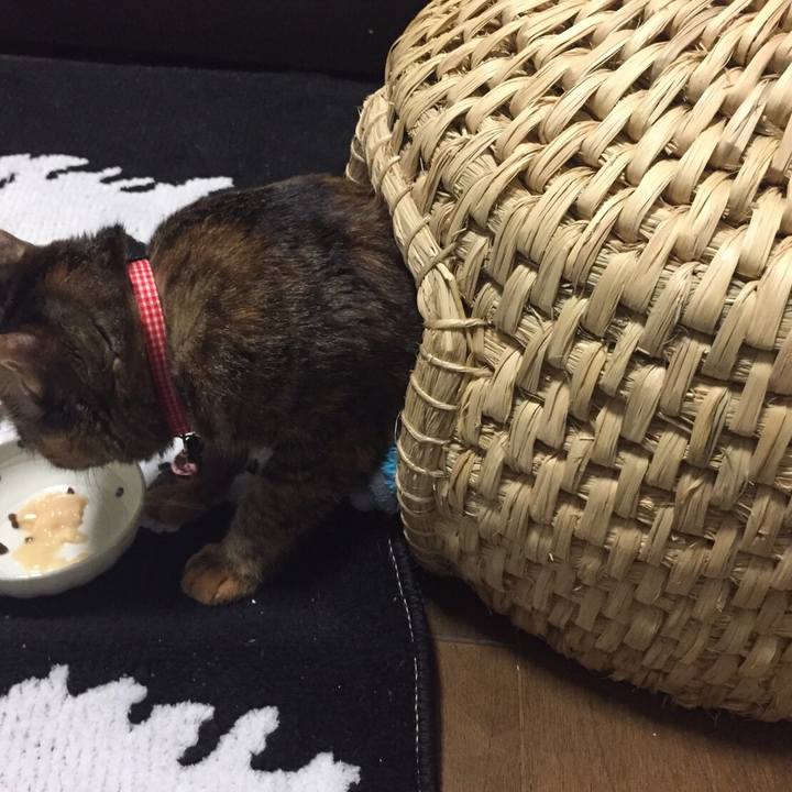 F93a5fb6 52b2 4118 9b9d 10131b6bc6e2