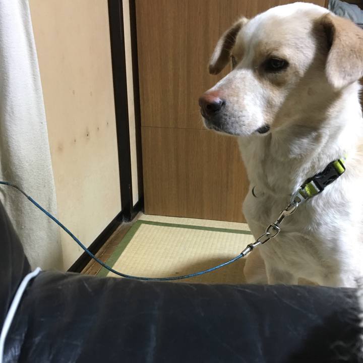 F93b2e3b 10e6 40ae 9216 daa341de6fe2