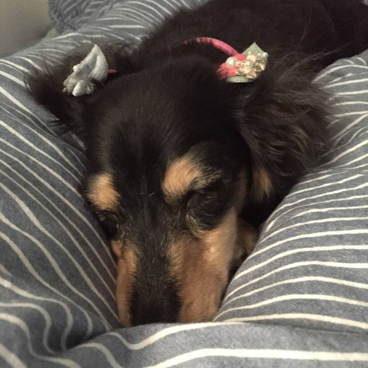 F93b90f4 ae4d 44a7 bd25 19246ab8be5c