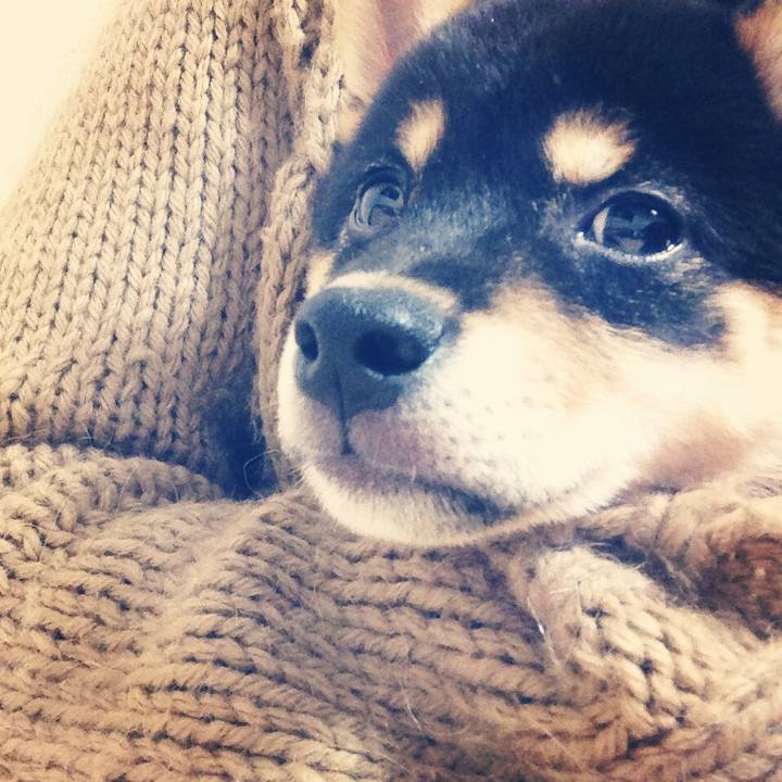 F93bba09 95a1 46af b956 9775a10164c4