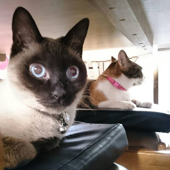 F93bfb43 cd7e 4f7b bb0d 54dac0295a60