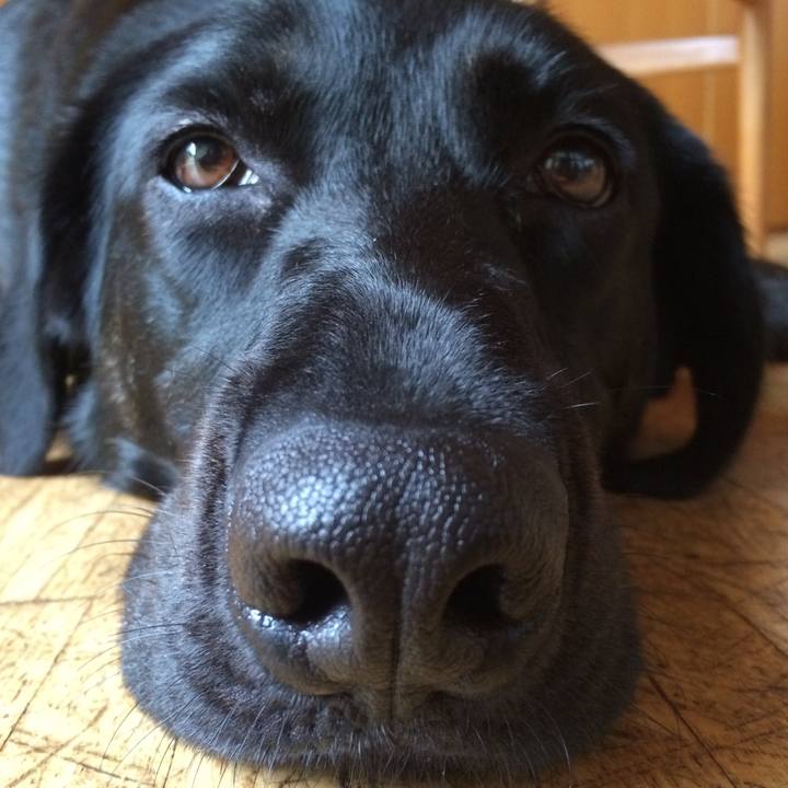 F93c35d3 c996 4cd0 b288 9d123faf6ceb