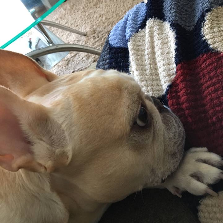 F93cfbf4 bc67 4628 ba55 c2efdf68420c