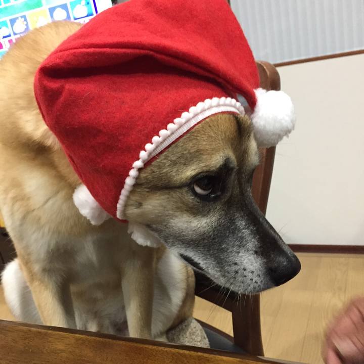 F93d8c48 acd4 43ae 9fd0 b4954b2c2f16