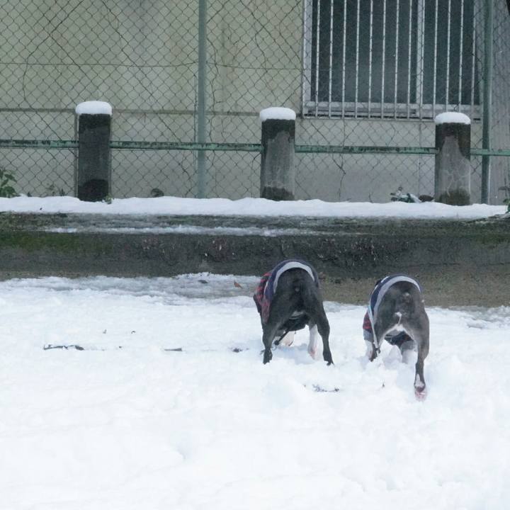 F93ea598 f5ad 48a3 84a0 50cf5e0af1b5