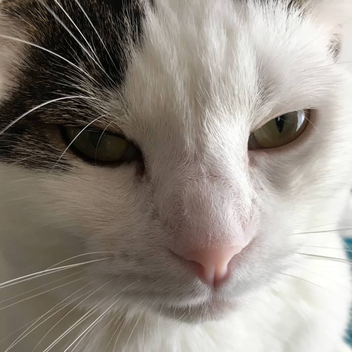 F93ecfbc 875d 44ba afcb d65385b4d819