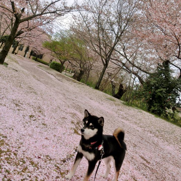 F93edd76 7d05 4bd8 b566 72dedeefbbec