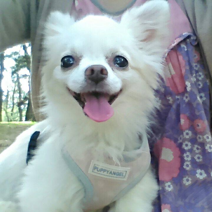 F93f01a5 f130 4f43 bba1 b4fc9309f4bd