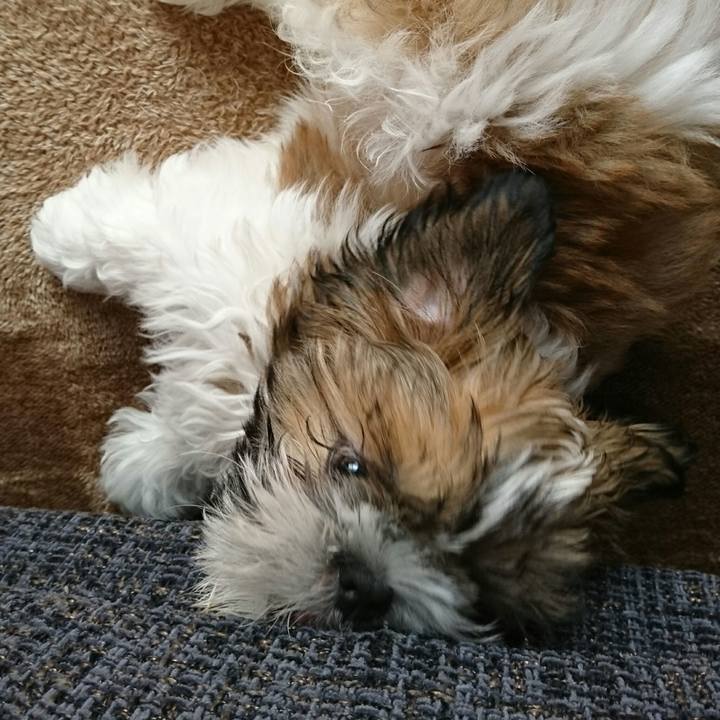 F93fef93 f2a3 4c14 93da 15fdced80f03