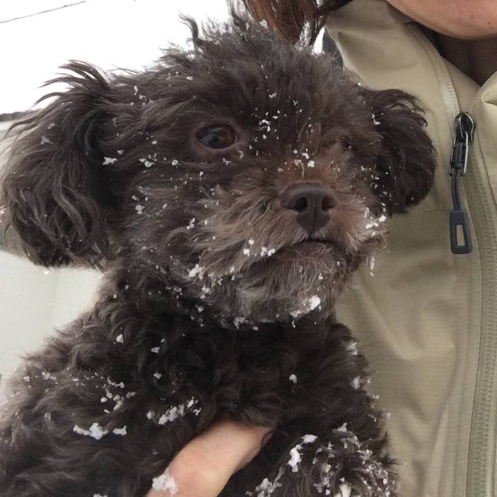 F93ff4ae 17fb 4b7e 9c22 2ee2ebfcb3b1