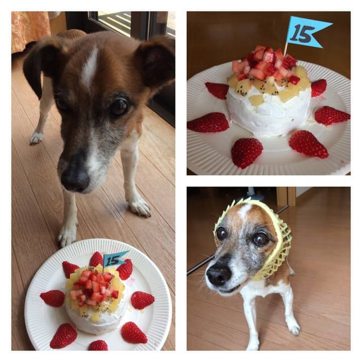 F9402edd 965c 4555 9d1c 29f9ed79d95a