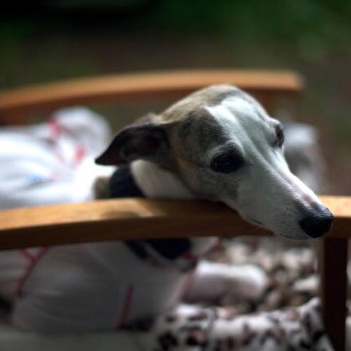 F94080c2 7d22 448d 9d01 2683107d3b17