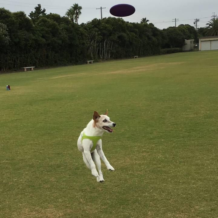 F940c70d 8db1 4255 94f3 c48433f57e42