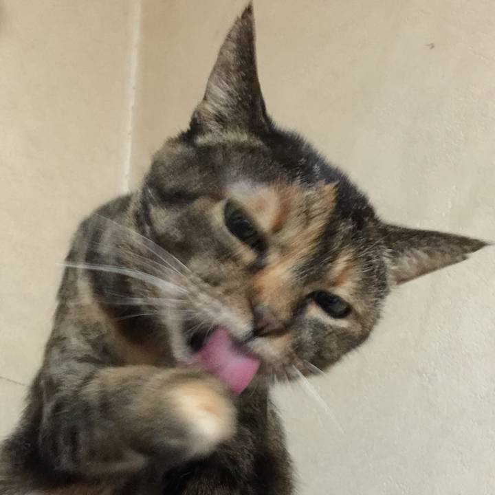 F94119a1 8099 4467 98ca c727b32fbd36