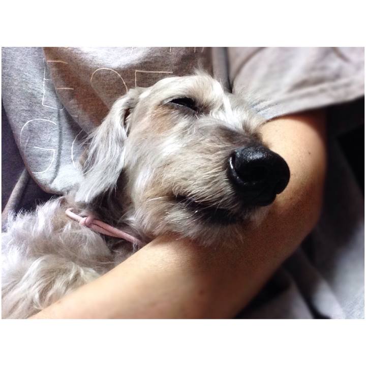 F94161f1 69dc 4470 80e5 644bdb076f23