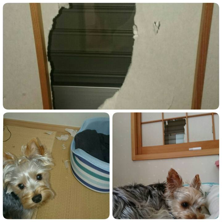 F9418f98 e68f 4489 9ba9 e54630eef0c5