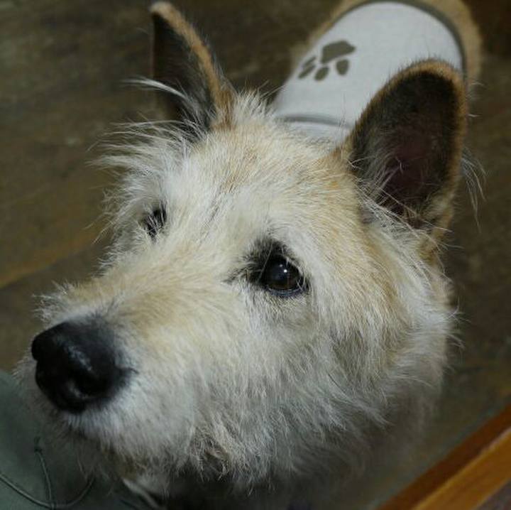 F942757b ddf3 489c a153 846c9886d807