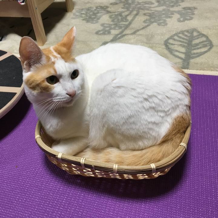 F94284f0 0218 45d7 a118 3f45b2084a86