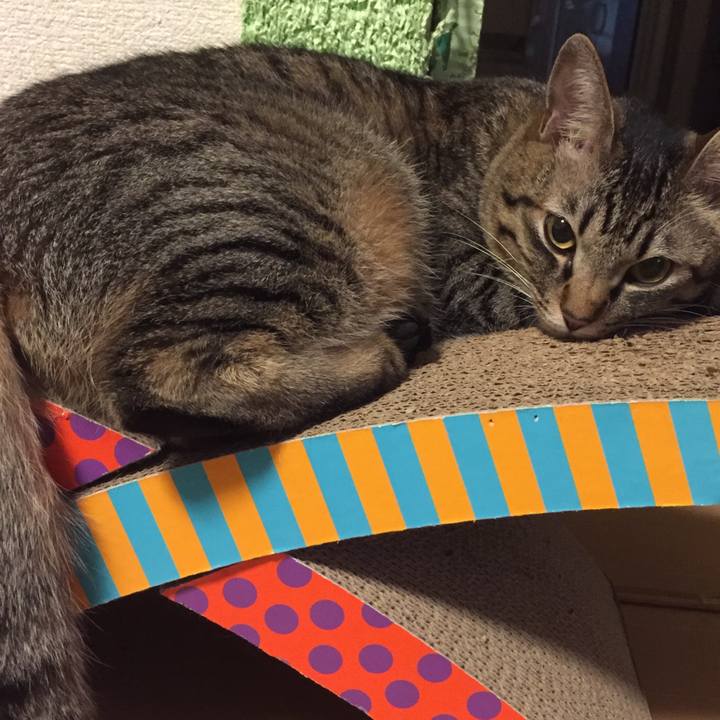 F942a0c0 e1c1 4719 8a15 c88f993a1257